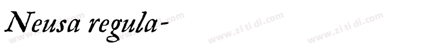 Neusa regula字体转换